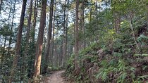 3 Day Kumano Kodo Pilgrimage Route Walking Tour from Osaka