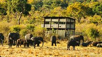 Private Game Drive in National Park with High Tea