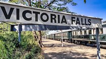Victoria Falls: Vulture Adventure Experience and brief Bush Walk