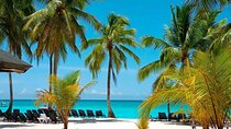 Perfect Day at Saona Island by Speedboat - Completely Private