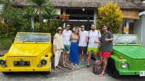 Luxury 1 Day Private trip Ubud with English Speaking Driver 