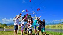 Private Customized Oahu Full Day Tour