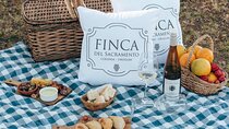 Wine Tour to Colonia Del Sacramento in Finca del Sacramento