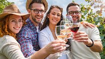 Private Pompeii Tour and Vineyard Lunch on the Slopes of Vesuvius