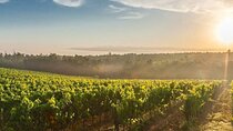 Florence and Boutique Winery with optional Pisa from Livorno Port