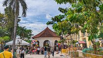 Cebu City with Sirao Garden Half Day Tour