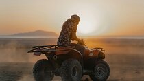 Quad Bike Pyramids Dunes Safari