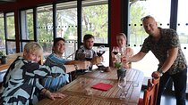 Bordeaux : Full Day Wine Tastings & Gourmet Lunch 