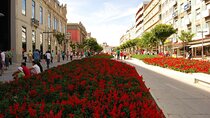 Private day trip from Porto to Braga, Guimaraes and back