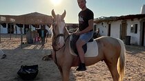  Horse Riding on the Beach And Desert 3 hours From Hurghada