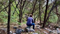Forest Mindfulness and Embodiment Experience