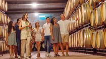 Half Day Tour of Wineries and Olive Oil with Lunch from Mendoza
