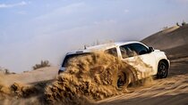 Evening Desert Safari Dubai with Live Shows and BBQ Dinner
