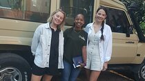 2days Spectacular Tanzania Safari