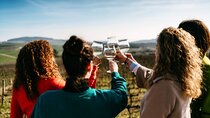 Porto : Private Tour to the Douro Valley 2 Wenders, Lunch and Boat