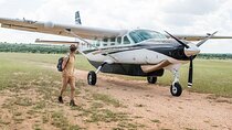 7 Days Masai Mara and Diani Beach Flying Luxury Safari - High End