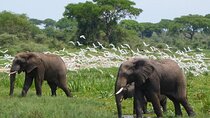 3 Days Murchison Falls and Ziwa Rhino Sanctuary 