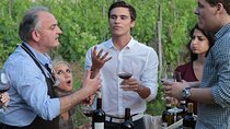 Siena and San Gimignano from Rome: Private Wine Tour in Tuscany