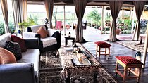 5 Days Kenya Safari and Uganda Gorilla Tracking Safari