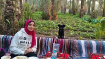 Saqqara, Dahshur, Memphis - 10%to stray dogs and cats 