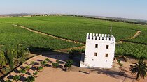 Private Wine & Food Tour in Alentejo