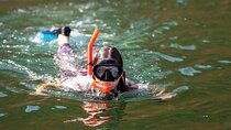 Sea Wonders Dolphin Watching and Snorkeling in Muscat