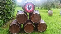 Chianti Classico "Black Rooster" and "Super Tuscan" Wine Tour 