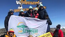 Lemosho Route 8 Days Kilimanjaro Trekking plus 2 Overnights