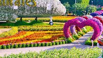 Pass Ticket to Miracle Garden from Dubai