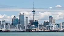 4 Hours Private Tour in Auckland 
