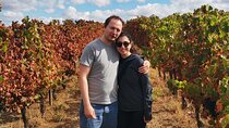 Private Day Tour Experience from Évora 