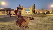 Luxurious Platinum Desert Safari Experience in Dubai