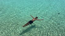 Daymaniyat Islands Snorkeling Adventure from Muscat