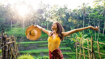 Ubud Tour - Monkey Forest, Temple, Waterfall, and Rice Terrace
