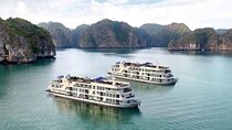 BEST Halong Bay Cruise 2 days 1 night - 5 stars