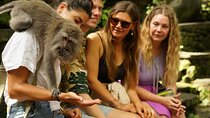Best Of Ubud : Waterfall, Temple, Monkey Forest & Rice Terrace