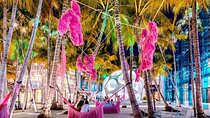 Hidden World of Miami Design District