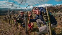 Exclusive Wine Tour and Tasting Experience in Siena