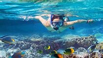 Nusa Penida West trip with snorkeling at 3 spot with Free Meals