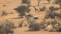 Game drive in Victoria Falls National Park