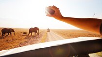 11 Days Tanzania Safari Zanzibar Beach and Victoria Falls Zambia