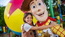 Walt Disney World Orlando Park Hopper Tickets
