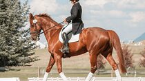 Private Horse Ridding tour 