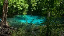  Tiger Cave and Emerald Pool Jungle Tour from Krabi