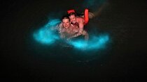 Magnificent Luminous Lagoon Tour from Montego Bay Accommodations