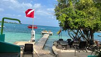 Snorkeling Explorer Tour