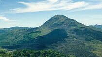 Full Day All-Inclusive Kintamani and Penglipuran Tour