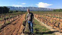  Half Day Wine Tour around Sainte Victoire from Aix en Provence