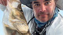 Fishing Adventure in Clearwater 