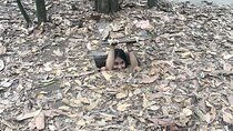 Private History Tour Cu Chi Tunnels and Saigon City Tour